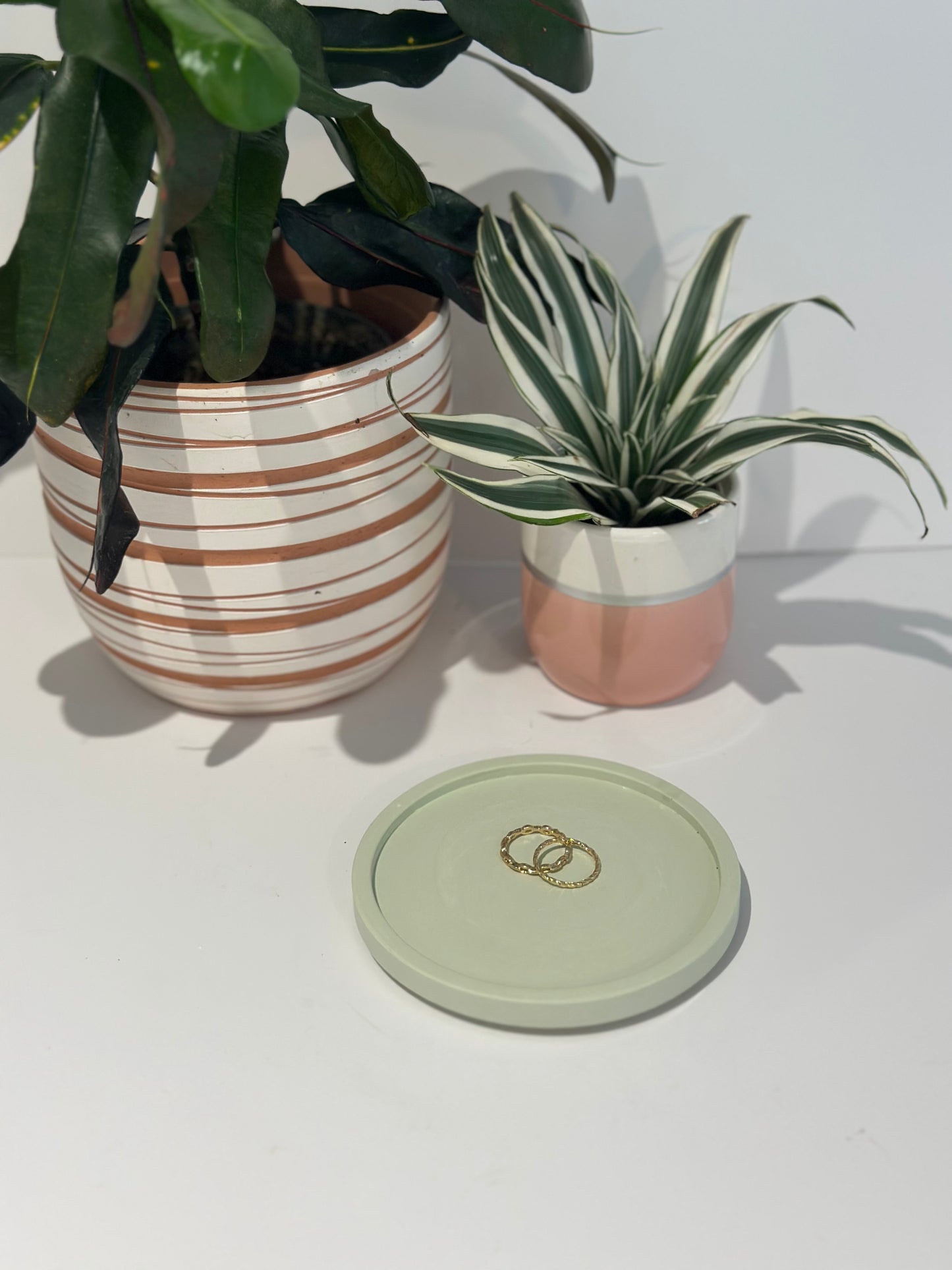 THE OLIVIA COASTER