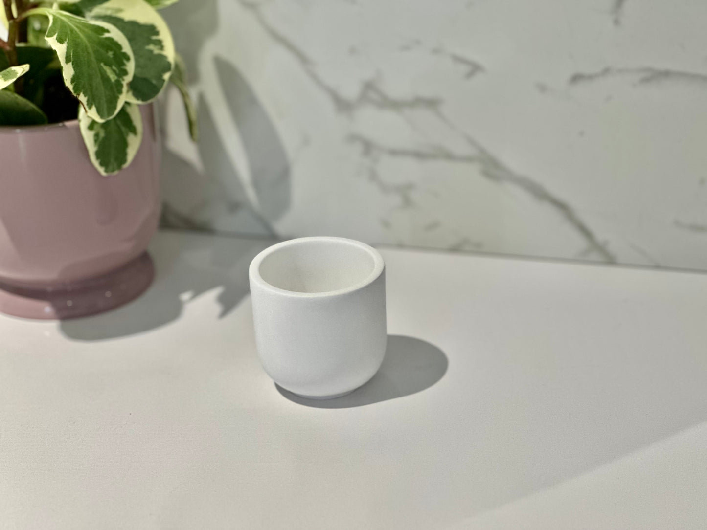 THE MARNI CUP