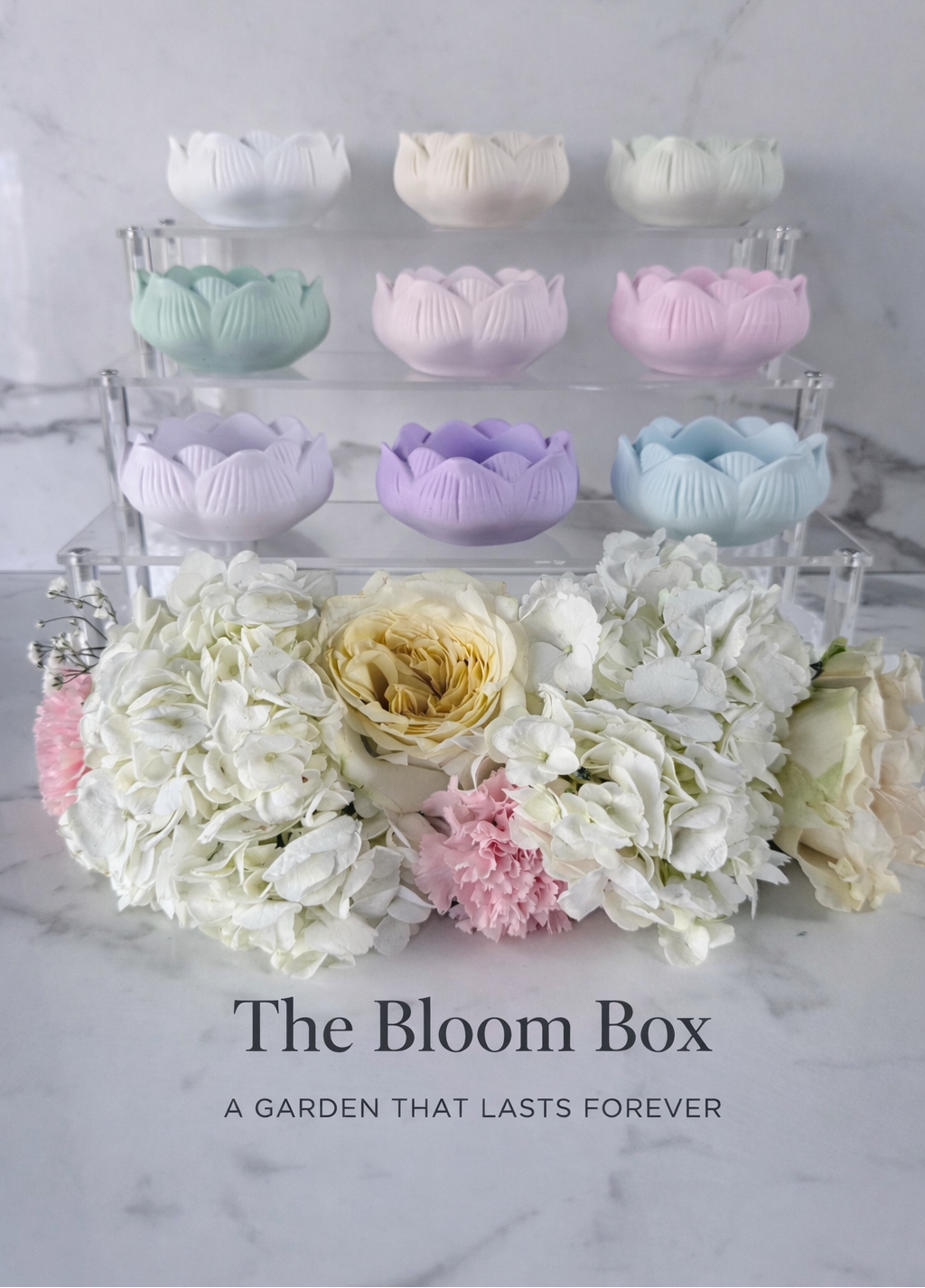 THE BLOOM BOX