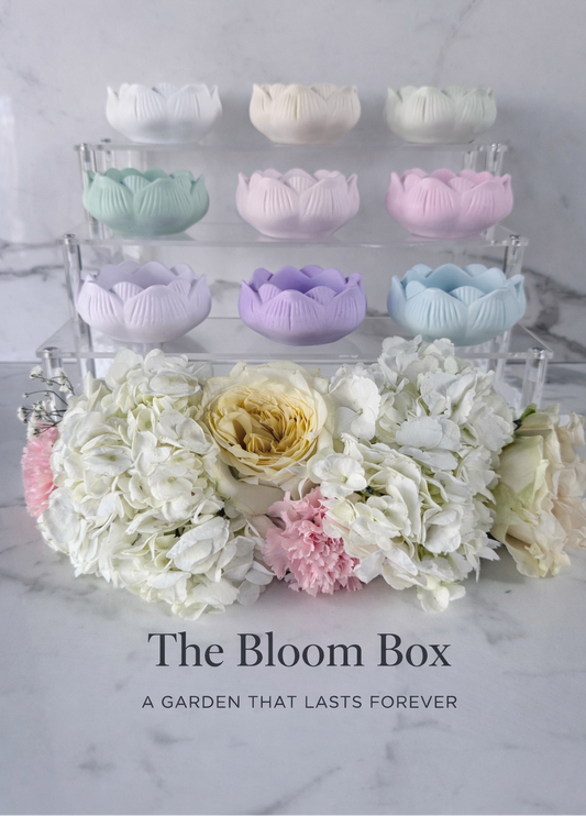 THE BLOOM BOX