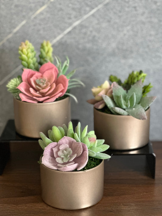 THE PETITE PLANTER