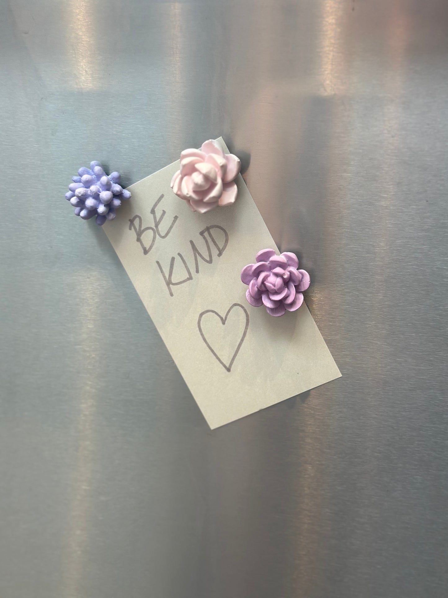 THE LIANA MAGNET