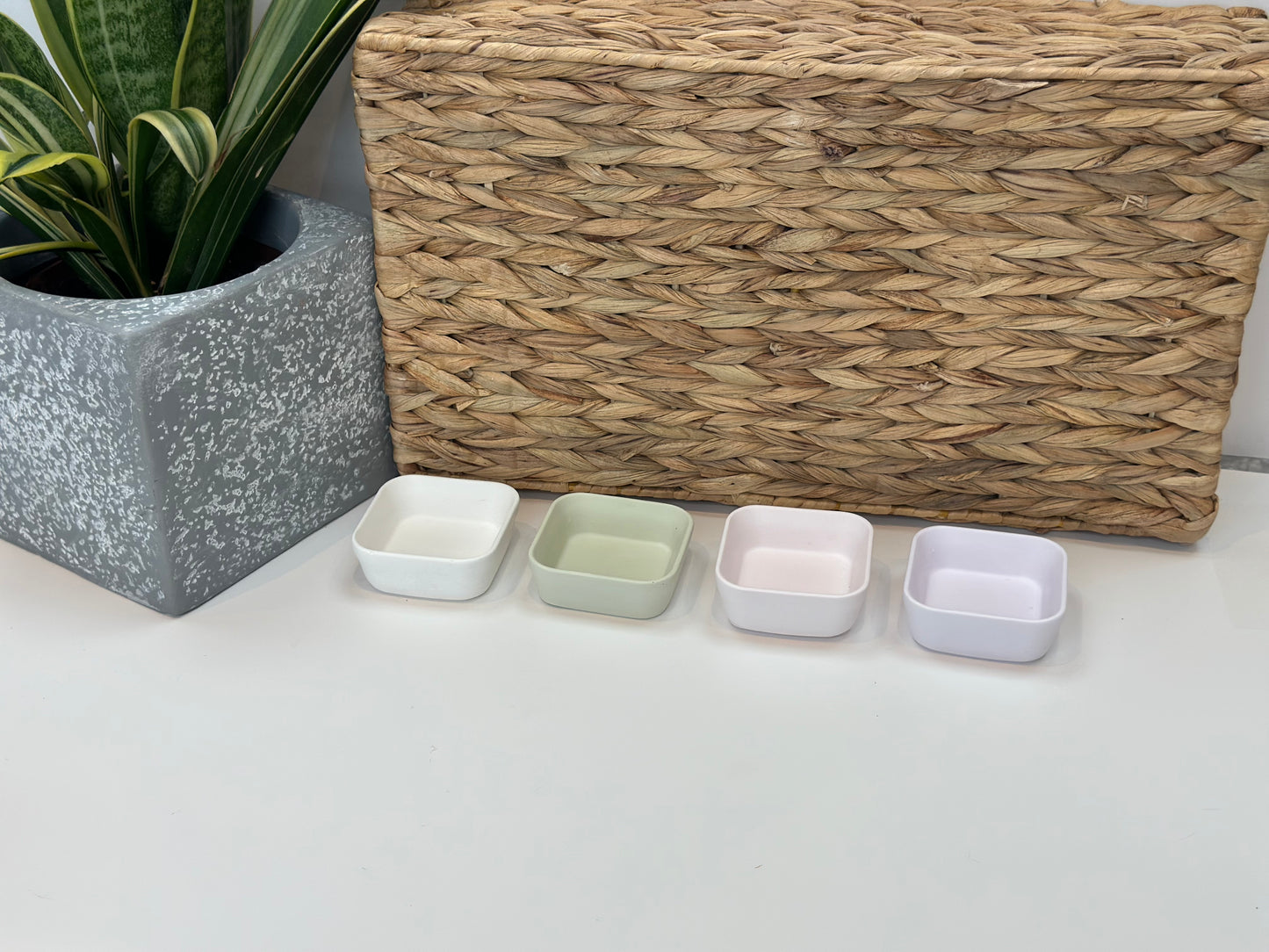 THE STELLA DISH