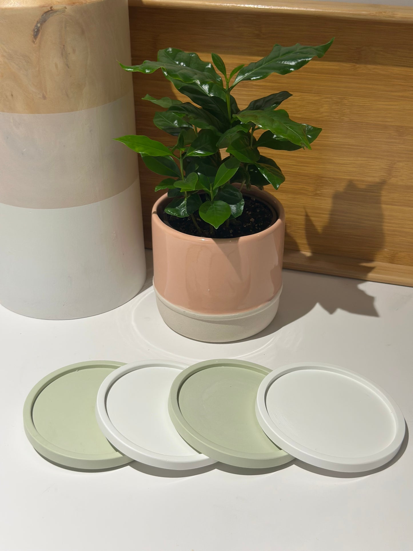 THE OLIVIA COASTER