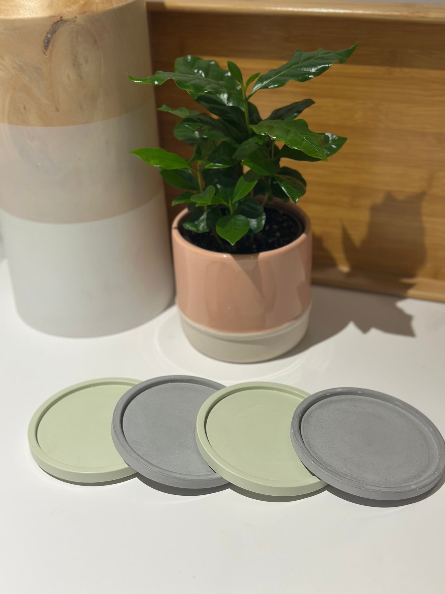 THE OLIVIA COASTER